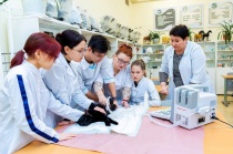 На Ямале молодым ветеринарам будут выплачивать подъемные